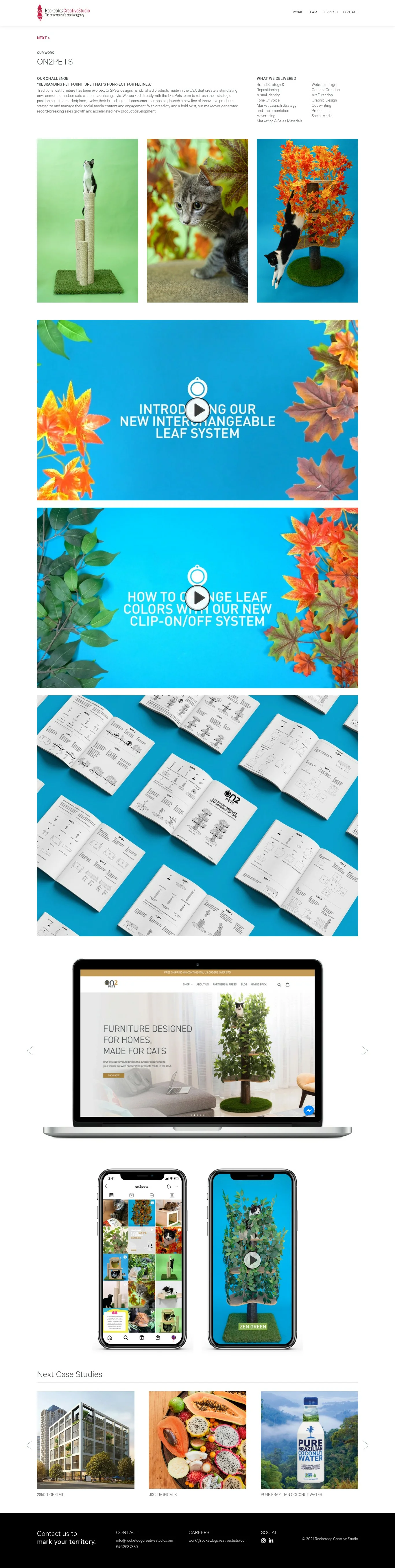 Rocket Dog Creative Studio - Dallas Web Design