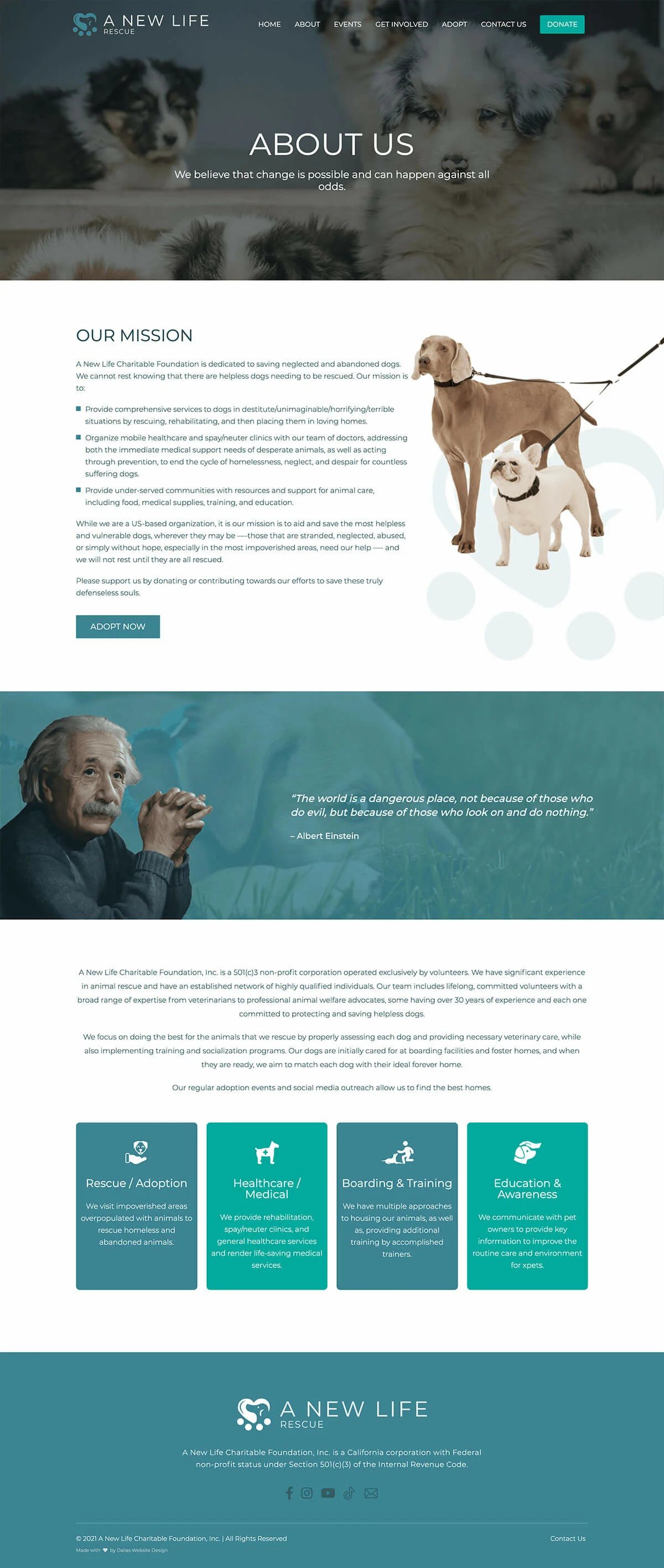 New Life Foundation - Dallas Web Design