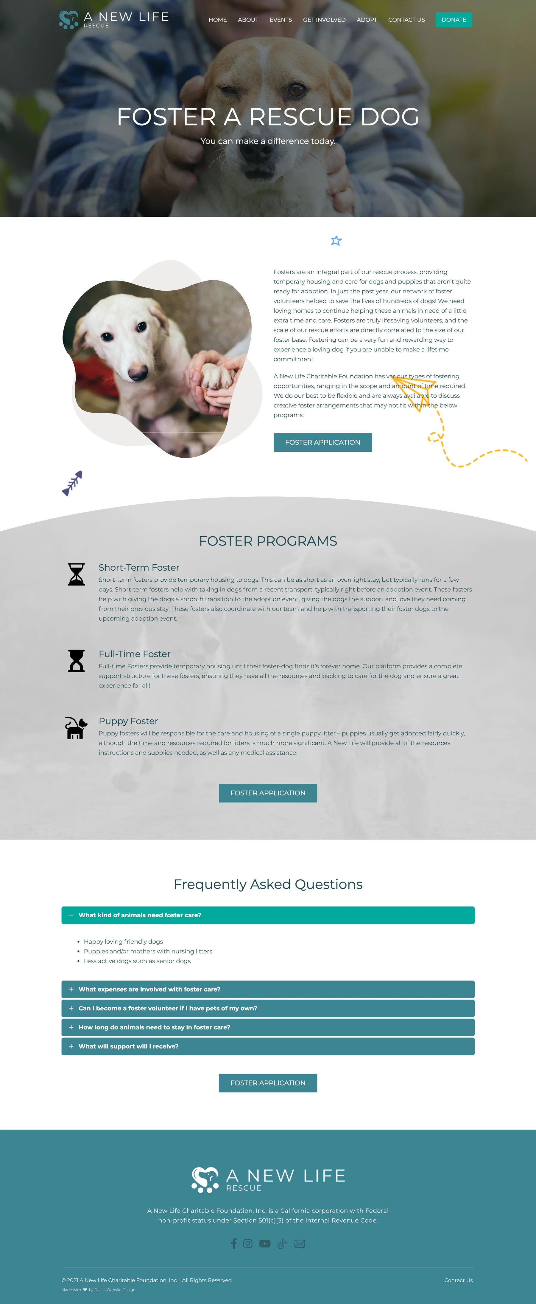 New Life Foundation - Dallas Web Design